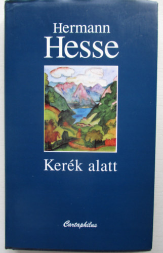 Hermann Hesse - Ker�k alatt