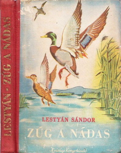 Lesty�n S�ndor - Z�g a n�das