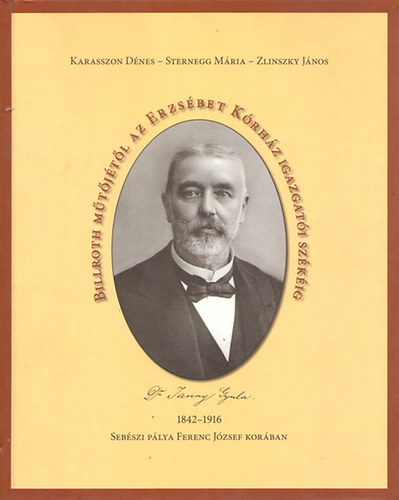 Karasszon-Sternegg-Zlinszky - Billroth mtjtl az Erzsbet Krhz igazgati szkig
