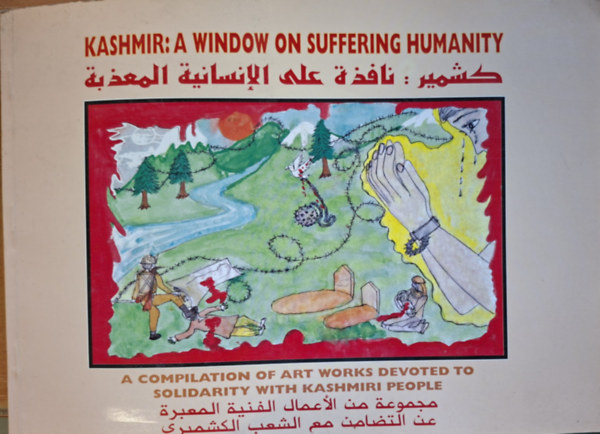 Kashmir: a Window on Suffering Humanity