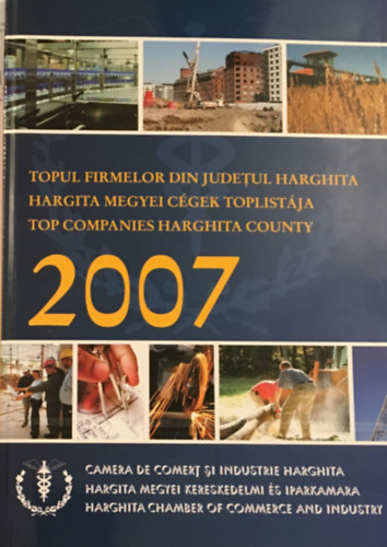 Hargita megyei c�gek toplist�ja 2007