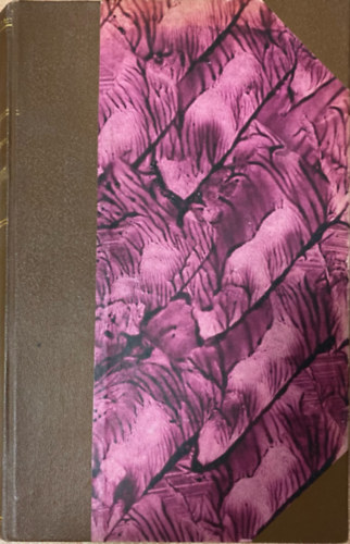 Korcsm�ros N�ndor - Ez�stv�ros