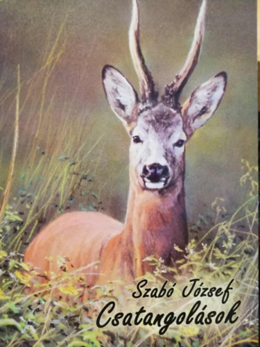 Szabó József - Csatangolások _ Vadászati novellák