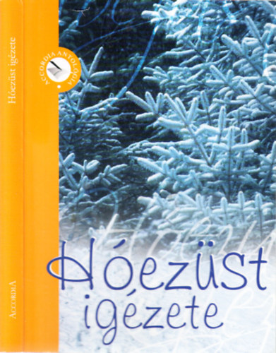 Bárány Melinda (szerk.) - Hóezüst igézete (Versek és prózai írások)