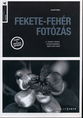 David Prkel - Fekete-fehr fotzs