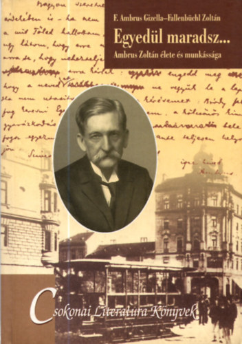 Ambrus-Fallenb�chl - Egyed�l maradsz... /Ambrus Zolt�n �lete �s munk�ss�ga