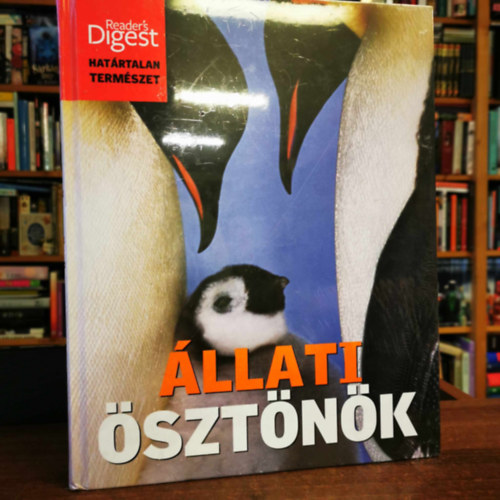 llati sztnk + Szlssges idjrs