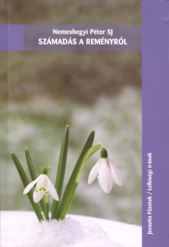 Nemeshegyi P�ter Sj - Sz�mad�s a rem�nyr�l (Jezsuita F�zetek/Lelkis�gi �r�sok)