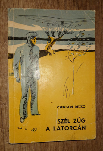 Csengeri Dezső - Szél zúg a latorcán