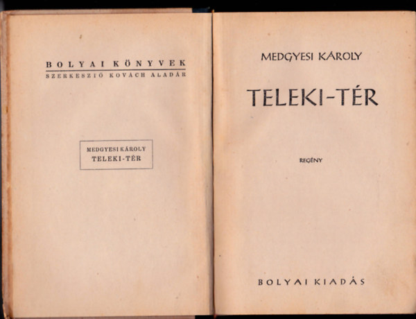Medgyesi K�roly - Teleki-t�r
