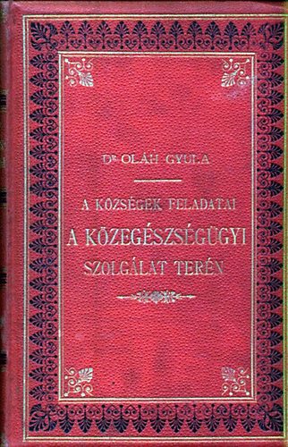 Olh Gyula dr. - A kzsgek feladatai a kzegszsggyi szolglat tern