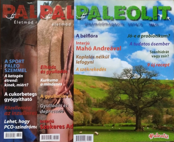 Szendi G�bor  (f�szerk.) - Paleolit �letm�d Magazin, 2013/1. + 2014/1-2. (3 sz�rv�nysz�m)