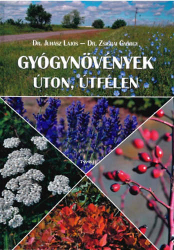 Dr. Dr. Zsigrai Gyrgy Juhsz Lajos - Gygynvnyek ton, tflen