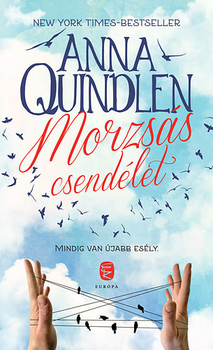 Anna Quindlen - Morzsás csendélet