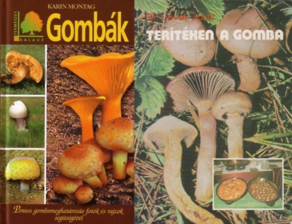 Dr. Karin Montag Lvai Judit - 2 db knyv gombszoknak: Gombk - Pontos gombameghatrozs fotk s rajzok segtsgvel + Tertken a gomba