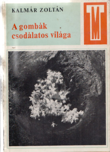 Kalm�r Zolt�n - A gomb�k csod�latos vil�ga