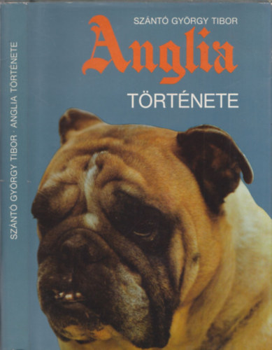 Szántó György Tibor - Anglia története - Szántó György Tibor