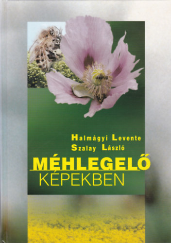 Halm�gyi Levente - M�hlegel� k�pekben