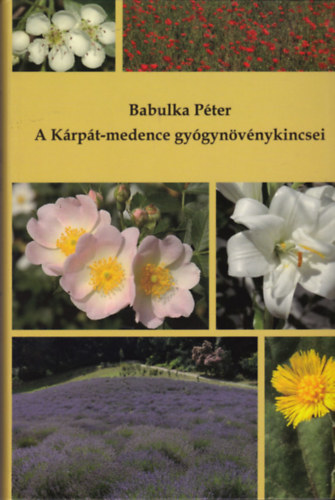 Babulka Pter - A Krpt-medence gygynvnykincsei