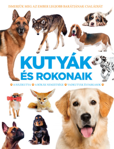 Kurkó Gyula  (Szerk.) - Kutyák és rokonaik