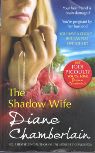 Diane Chamberlain - The Shadow Wife