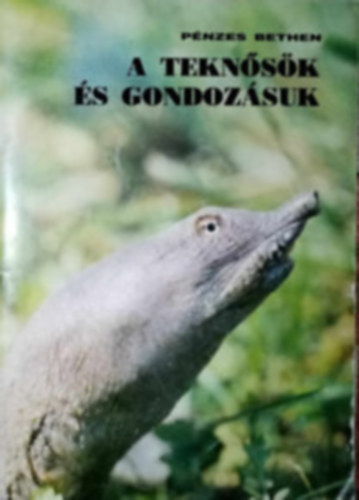 P�nzes Bethen - 2db P�nzes Bethen m�: A tekn�s�k �s gondoz�suk + K�t�lt� h�ll�k a lak�sban