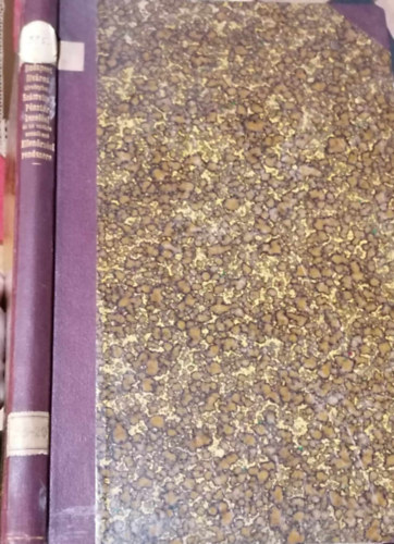 Budapest fvros trvnyhatsga szmviteli, pnztr-kezelsi s az ezekre vonatkoz ellenrzsi rendszere