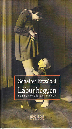 Schffer Erzsbet - Lbujjhegyen (Trtnetek tkzben)- dediklt