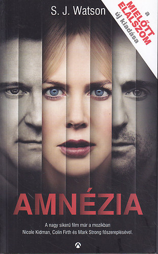 S. J. Watson - Amnézia