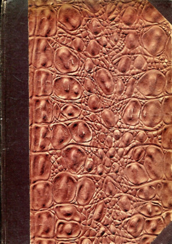 Vigh Bertalan - A villamoss�g alapfogalmai