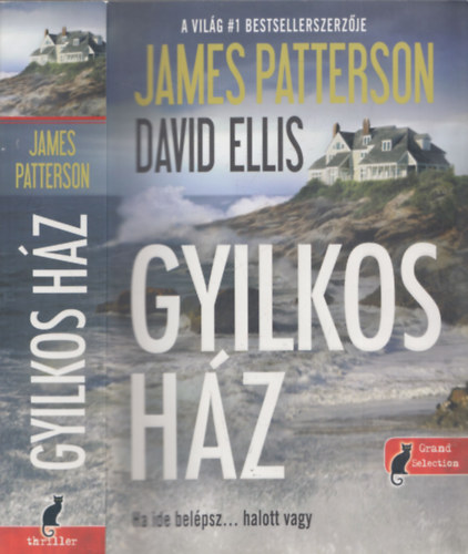 David Ellis James Patterson - Gyilkos hz