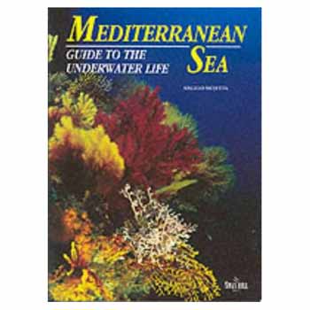 Angelo Mojetta - The Mediterranean Sea - Guide to the Underwater Life