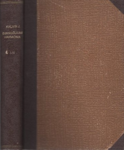Rábold Gusztáv (ford.) - Kálvin János magyarázata Máté, Márk és Lukács összhangba hozott evangéliumához