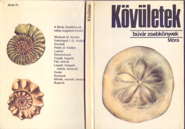 Dr. Rajzolta: Breznay Lvia Scholz Gbor - Kvletek (Bvr Zsebknyvek)