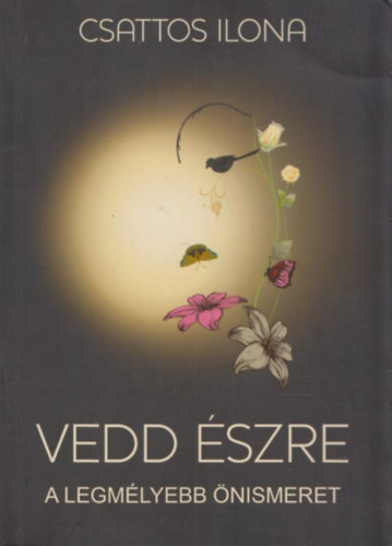 Csattos Ilona - Vedd szre
