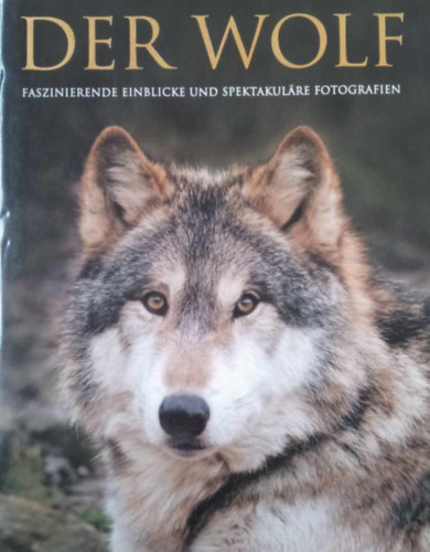 Monty Sloan Shaun Ellis - Der Wolf