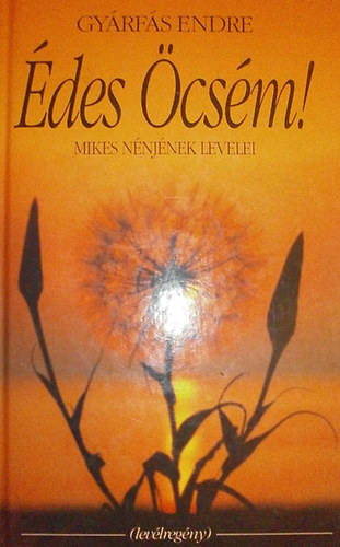 Gyárfás Endre - Édes Öcsém! (Mikes nénjének levelei - Levélregény)