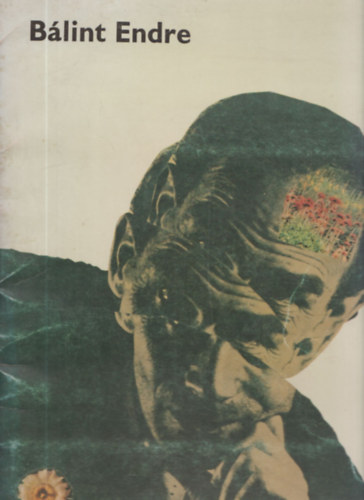 Szabadi Judit - Bálint Endre (12 műlap, mappában)
