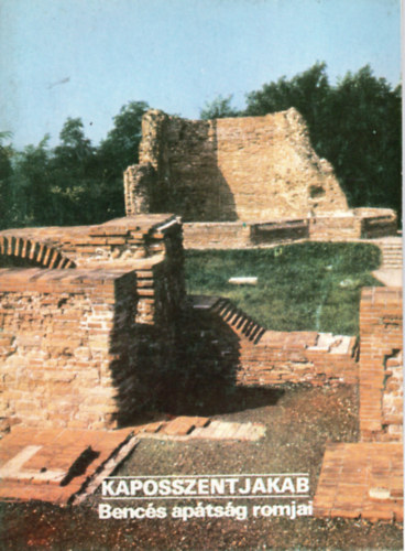 �ri Istv�n  (szerk.) - Kaposszentjakab -Benc�s ap�ts�g romjai- T�jak Korok M�zeumok KIsk�nyvt�ra 68