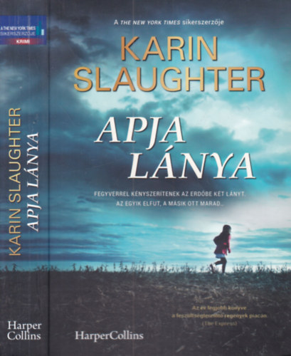 Karin Slaughter - Apja lánya