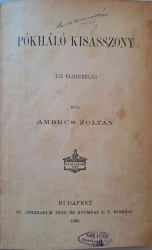 Ambrus Zoltán - Pókháló kisasszony