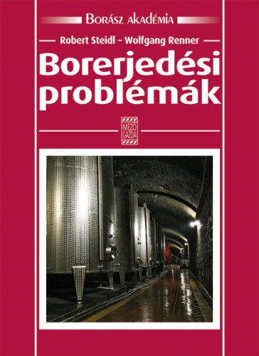 Robert Steidl; Wolfgang Renner - Borerjedsi problmk