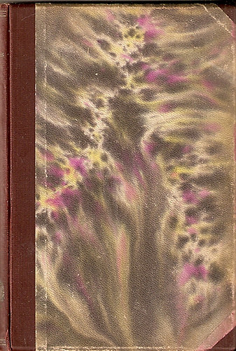 Csehov - K�s�rtetes �jjel �s egy�b elbesz�l�sek