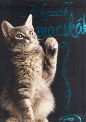 Mirtse ron  (ford. s tdolg.) - A legszebb macskk
