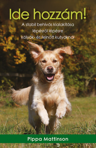 Pippa Mattinson - Ide hozz�m!