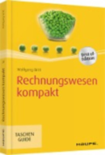 Wolfgang Britt - Rechnungswesen kompakt