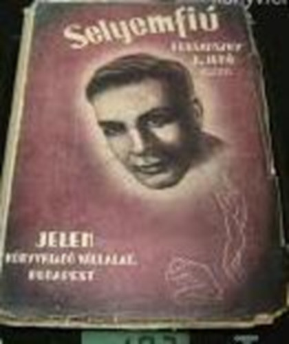 Tersánszky Józsi Jenő - Selyemfiú