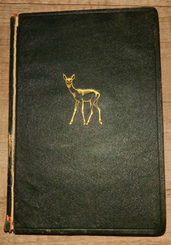 Felix Salten - Bambi gyermekei