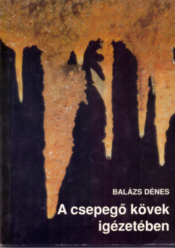 Bal�zs D�nes - A csepeg� k�vek ig�zet�ben