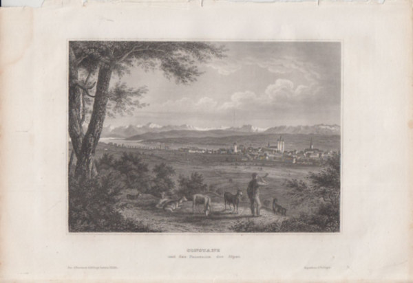 Constanz (Konstanz, és az Alpok) (Németország, Európa) (16x23,5 cm lapméretű eredeti acélmetszet, 1856-ból)
